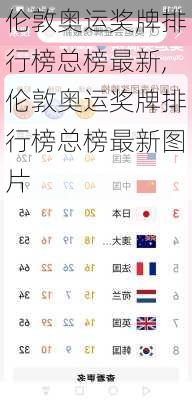 伦敦奥运奖牌排行榜总榜最新,伦敦奥运奖牌排行榜总榜最新图片