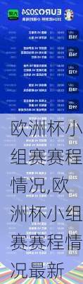 欧洲杯小组赛赛程情况,欧洲杯小组赛赛程情况最新