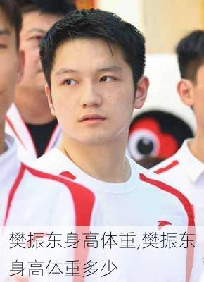 樊振东身高体重,樊振东身高体重多少