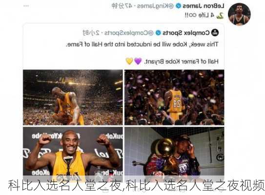 科比入选名人堂之夜,科比入选名人堂之夜视频
