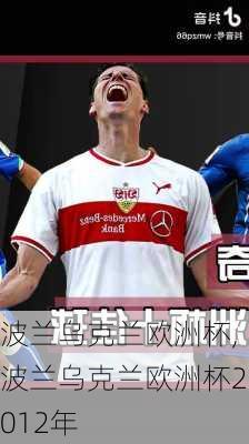 波兰乌克兰欧洲杯,波兰乌克兰欧洲杯2012年