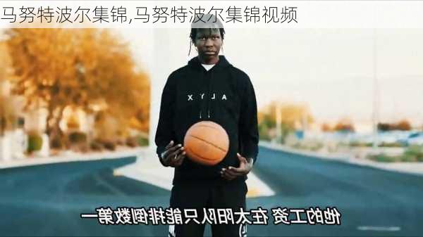 马努特波尔集锦,马努特波尔集锦视频