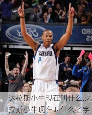 达拉斯小牛现在叫什么,达拉斯小牛现在叫什么名字