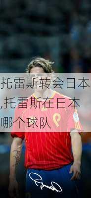 托雷斯转会日本,托雷斯在日本哪个球队