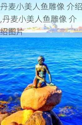 丹麦小美人鱼雕像 介绍,丹麦小美人鱼雕像 介绍图片