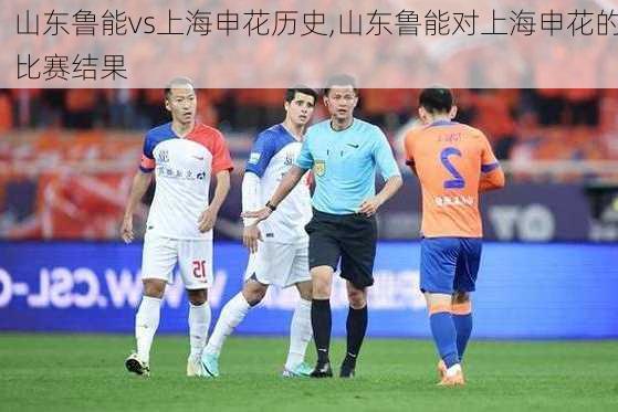 山东鲁能vs上海申花历史,山东鲁能对上海申花的比赛结果