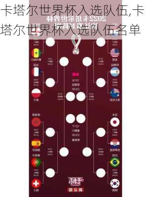 卡塔尔世界杯入选队伍,卡塔尔世界杯入选队伍名单