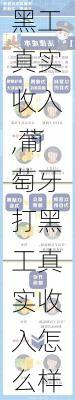 葡萄牙打黑工真实收入,葡萄牙打黑工真实收入怎么样