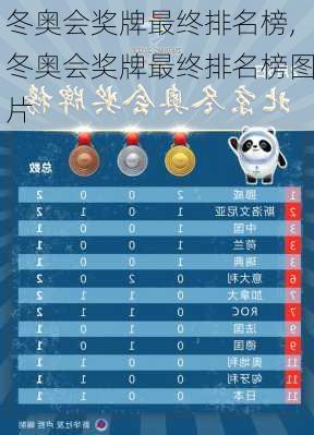 冬奥会奖牌最终排名榜,冬奥会奖牌最终排名榜图片