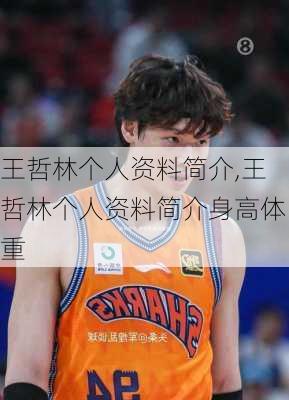 王哲林个人资料简介,王哲林个人资料简介身高体重