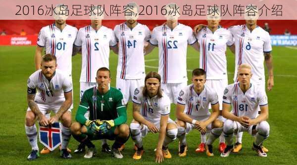 2016冰岛足球队阵容,2016冰岛足球队阵容介绍