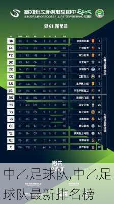 中乙足球队,中乙足球队最新排名榜
