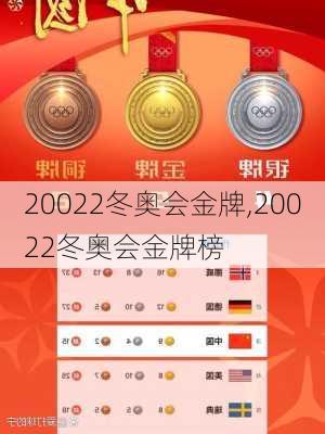 20022冬奥会金牌,20022冬奥会金牌榜