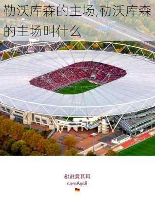 勒沃库森的主场,勒沃库森的主场叫什么