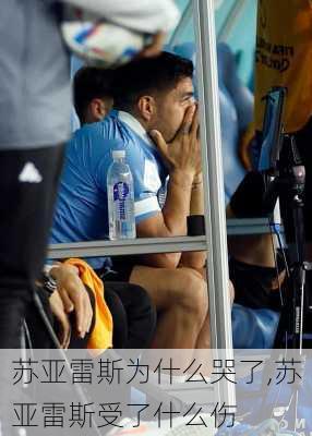 苏亚雷斯为什么哭了,苏亚雷斯受了什么伤