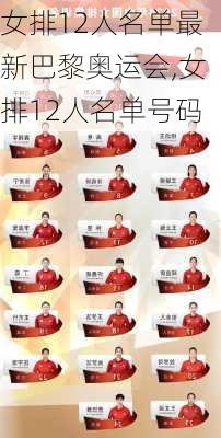 女排12人名单最新巴黎奥运会,女排12人名单号码