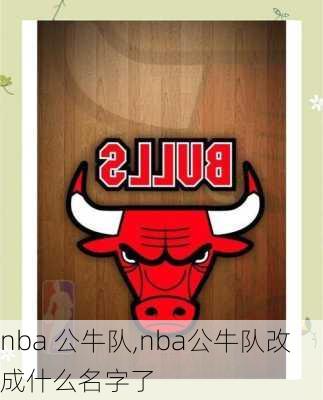 nba 公牛队,nba公牛队改成什么名字了