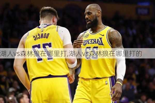 湖人vs森林狼在哪里打,湖人vs森林狼在哪里打的