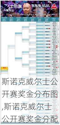 斯诺克威尔士公开赛奖金分布图,斯诺克威尔士公开赛奖金分配