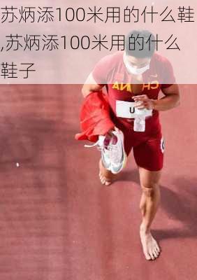 苏炳添100米用的什么鞋,苏炳添100米用的什么鞋子