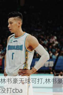 林书豪无球可打,林书豪没打cba