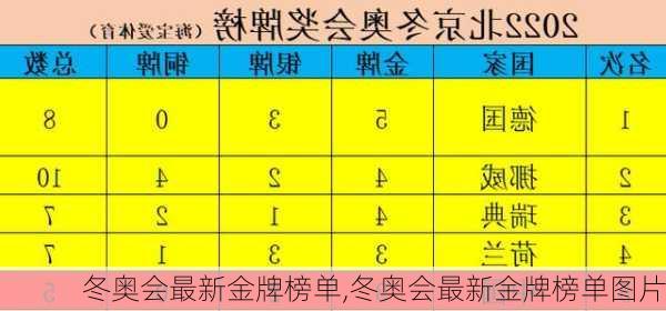 冬奥会最新金牌榜单,冬奥会最新金牌榜单图片
