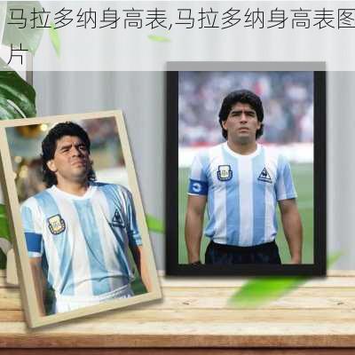 马拉多纳身高表,马拉多纳身高表图片