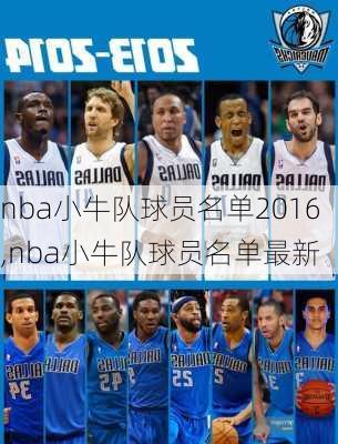 nba小牛队球员名单2016,nba小牛队球员名单最新