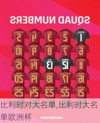 比利时对大名单,比利时大名单欧洲杯