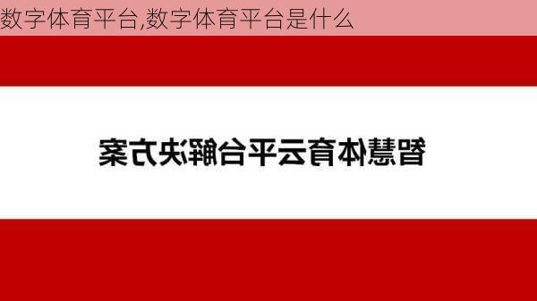 数字体育平台,数字体育平台是什么