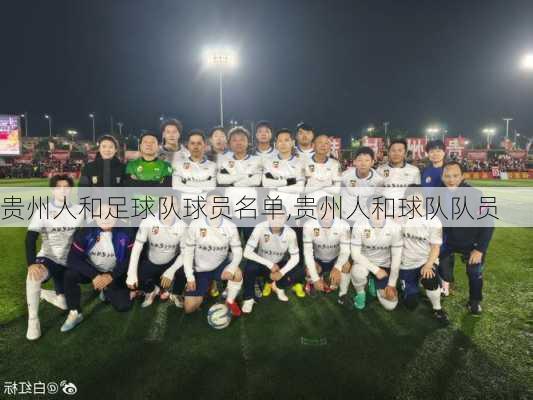 贵州人和足球队球员名单,贵州人和球队队员