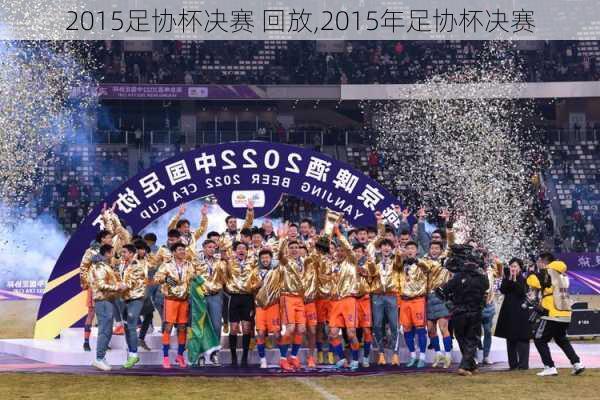 2015足协杯决赛 回放,2015年足协杯决赛