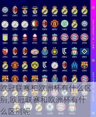 欧冠联赛和欧洲杯有什么区别,欧冠联赛和欧洲杯有什么区别呢