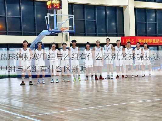 篮球锦标赛甲组与乙组有什么区别,篮球锦标赛甲组与乙组有什么区别呢