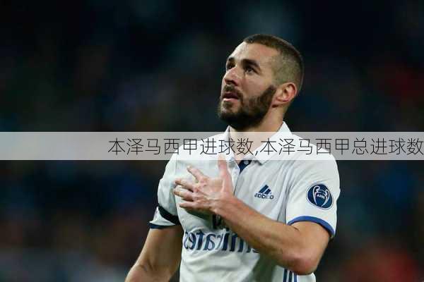 本泽马西甲进球数,本泽马西甲总进球数