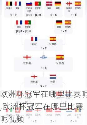 欧洲杯冠军在哪里比赛呢,欧洲杯冠军在哪里比赛呢视频