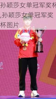 孙颖莎女单冠军奖杯,孙颖莎女单冠军奖杯图片