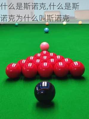 什么是斯诺克,什么是斯诺克为什么叫斯诺克