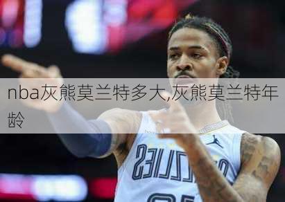 nba灰熊莫兰特多大,灰熊莫兰特年龄