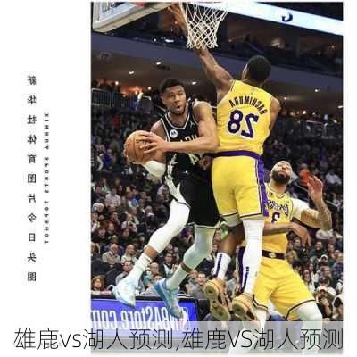 雄鹿vs湖人预测,雄鹿VS湖人预测