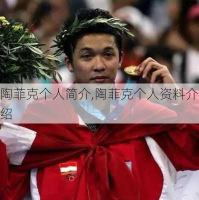陶菲克个人简介,陶菲克个人资料介绍