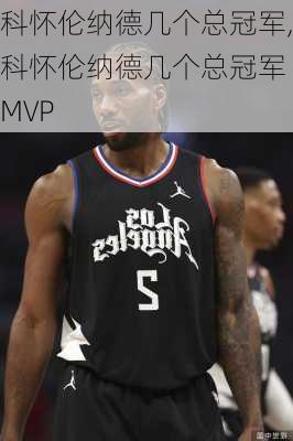 科怀伦纳德几个总冠军,科怀伦纳德几个总冠军 MVP