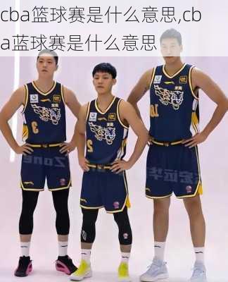 cba篮球赛是什么意思,cba蓝球赛是什么意思