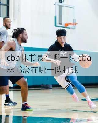 cba林书豪在哪一队,cba林书豪在哪一队打球