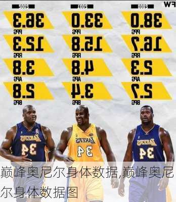 巅峰奥尼尔身体数据,巅峰奥尼尔身体数据图