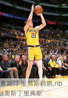 奥斯汀 里弗斯鹈鹕,nba奥斯丁里弗斯