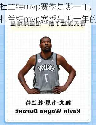 杜兰特mvp赛季是哪一年,杜兰特mvp赛季是哪一年的