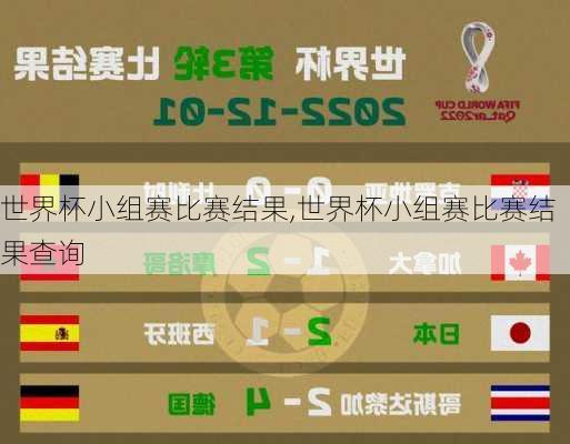世界杯小组赛比赛结果,世界杯小组赛比赛结果查询
