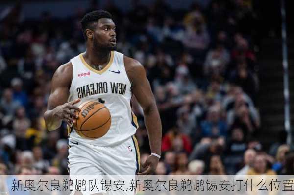 新奥尔良鹈鹕队锡安,新奥尔良鹈鹕锡安打什么位置