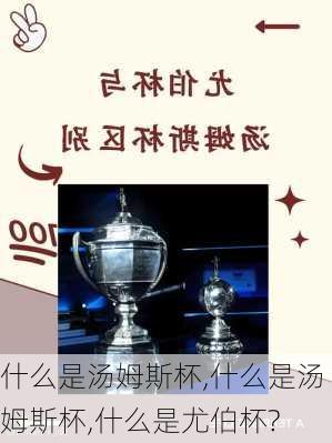 什么是汤姆斯杯,什么是汤姆斯杯,什么是尤伯杯?